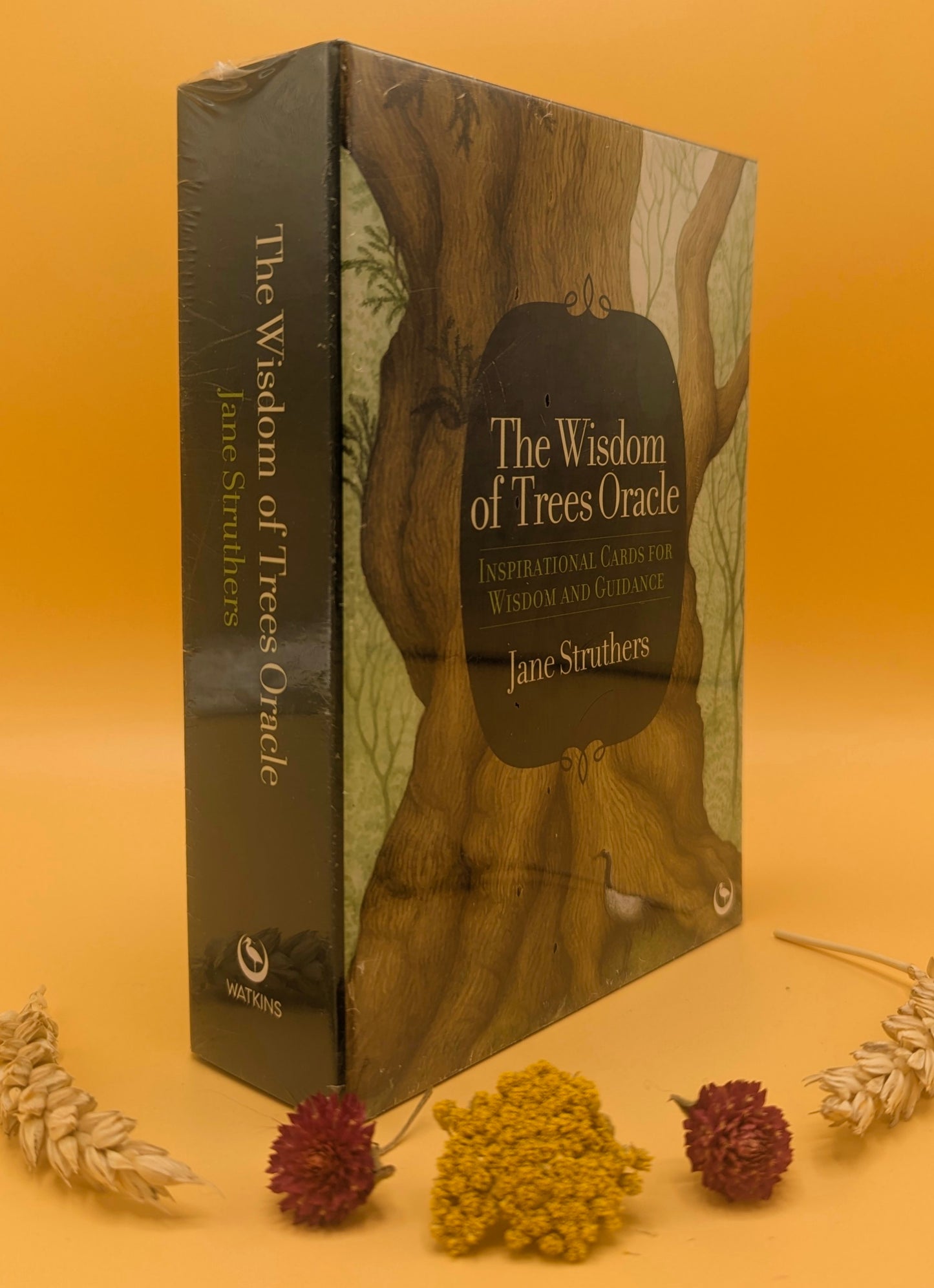 The Wisdom of Trees Oracle