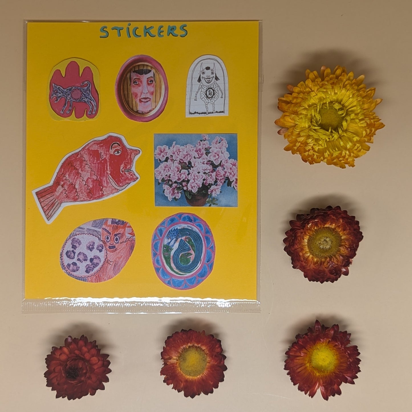 Sticker Sheet by Fiona Beveridge