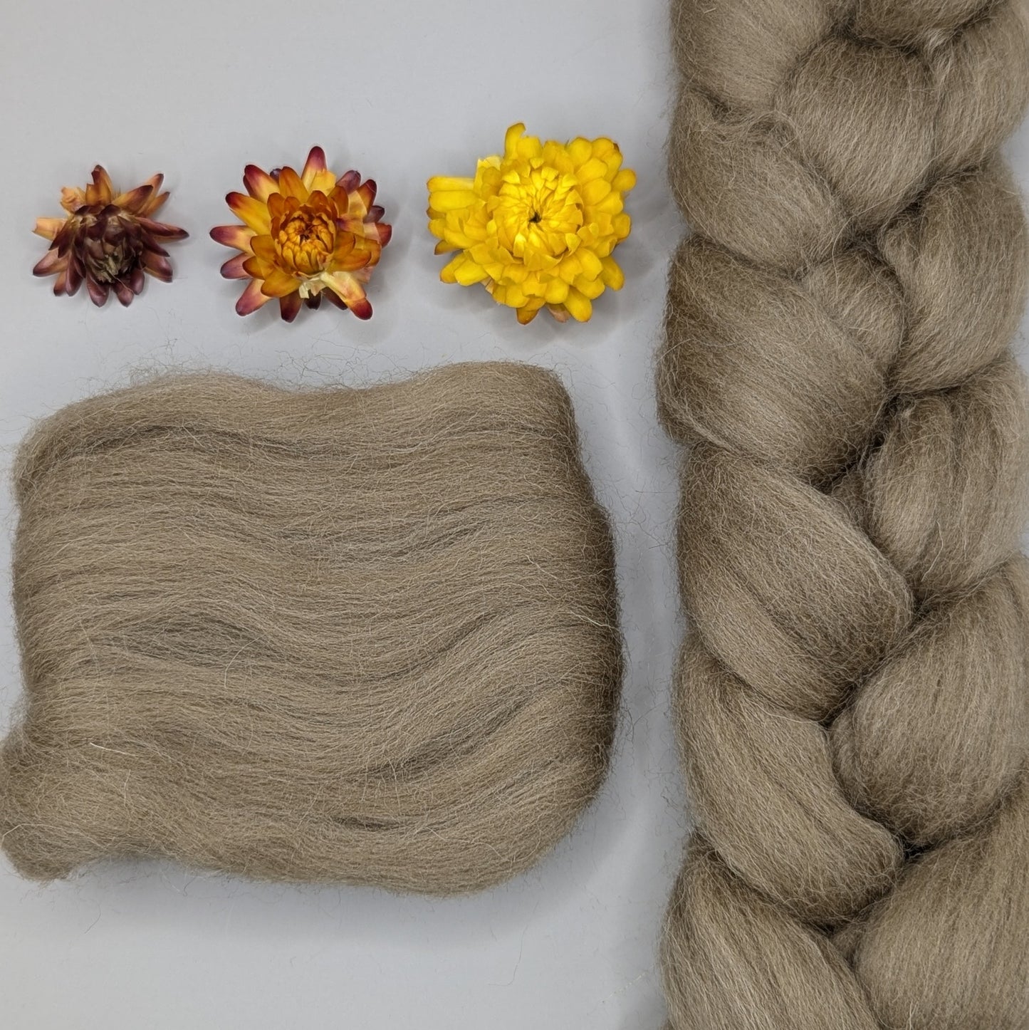 Dyed Shetland Combed Tops 50g
