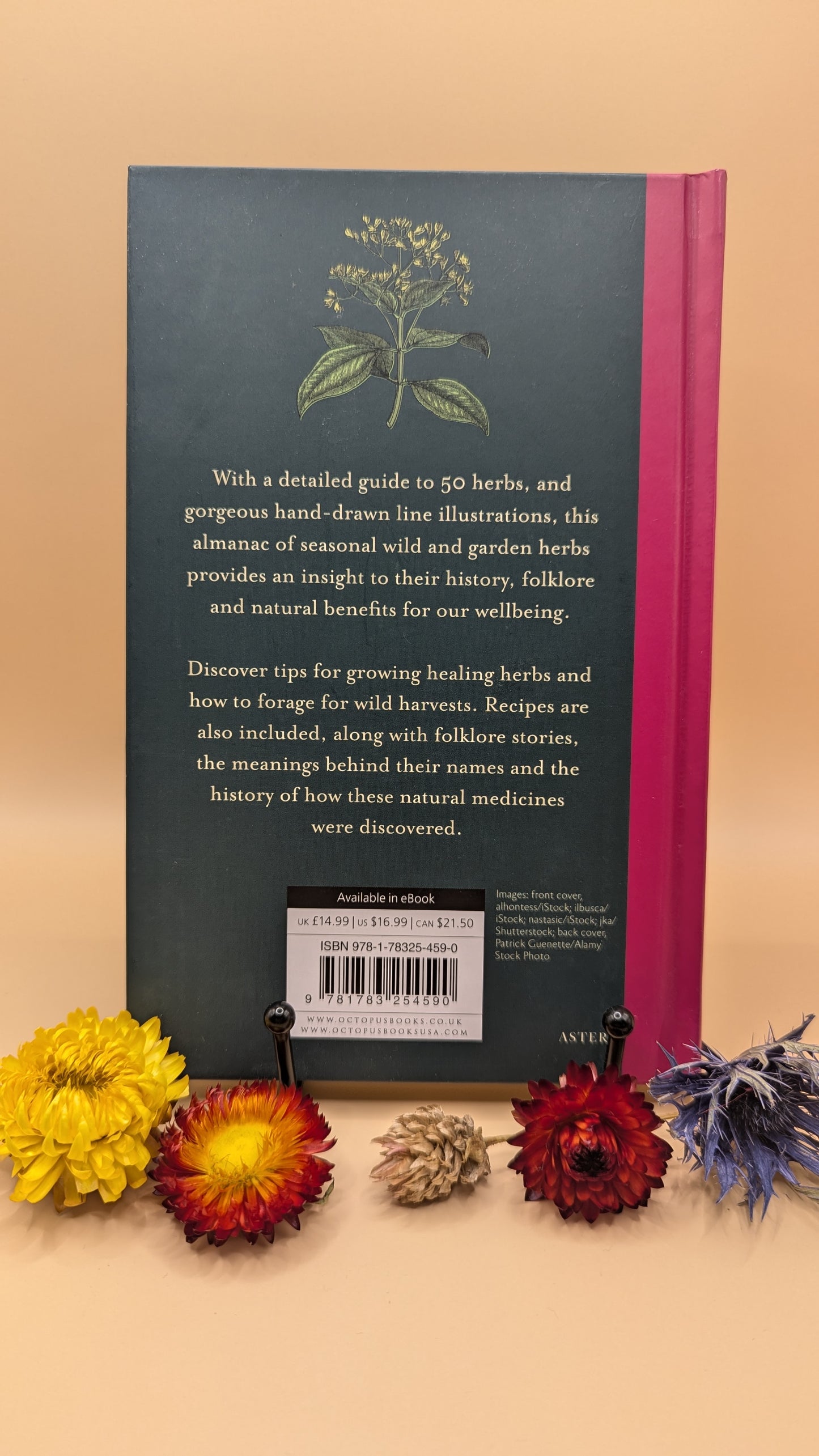 The Herb Almanac : A seasonal guide to medicinal plants
