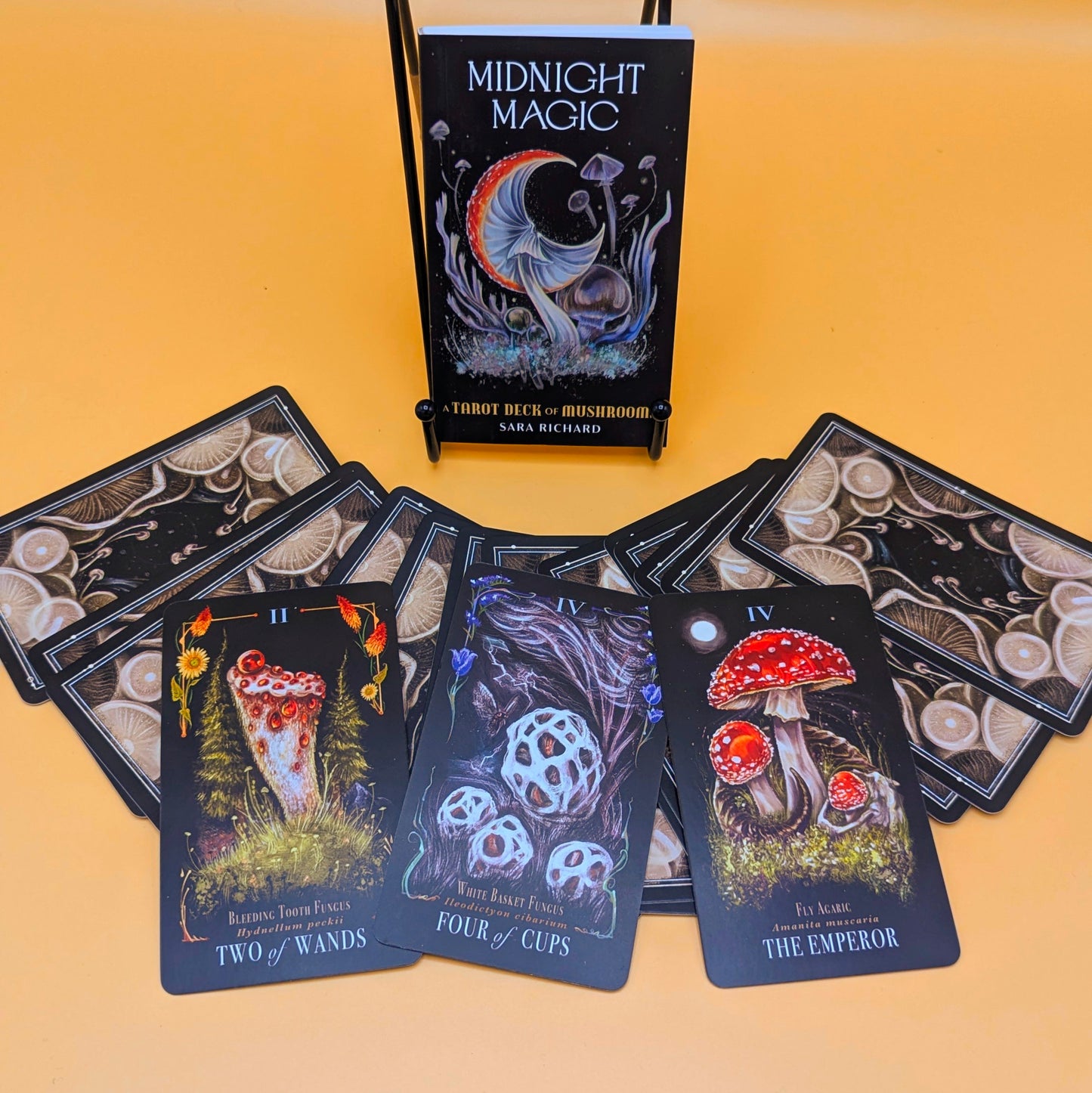 Midnight Magic: A Tarot Deck of Mushrooms
