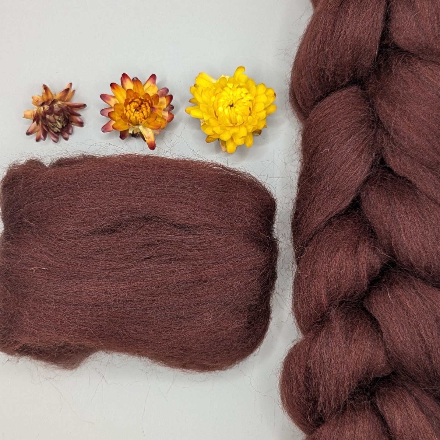 Dyed Shetland Combed Tops 50g