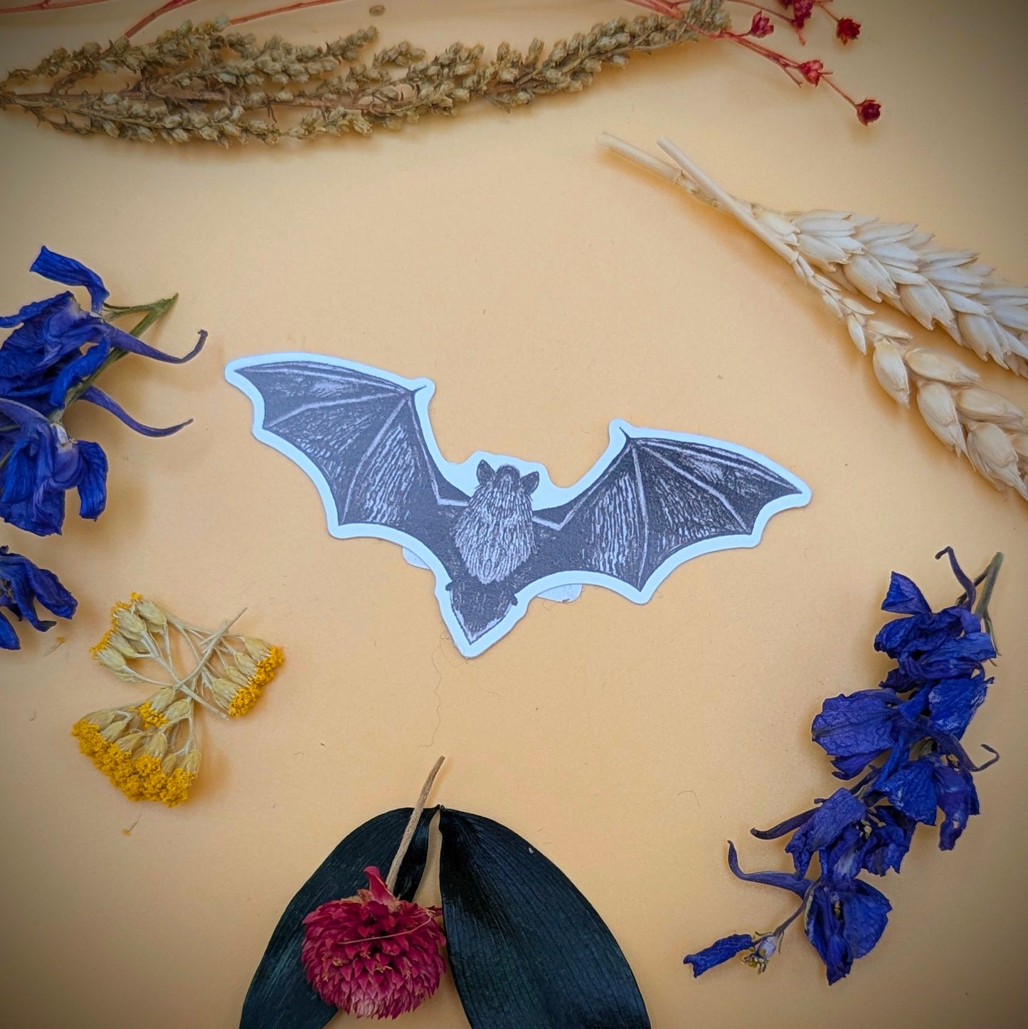 Chiroptera Pipistrelle Bat Sticker