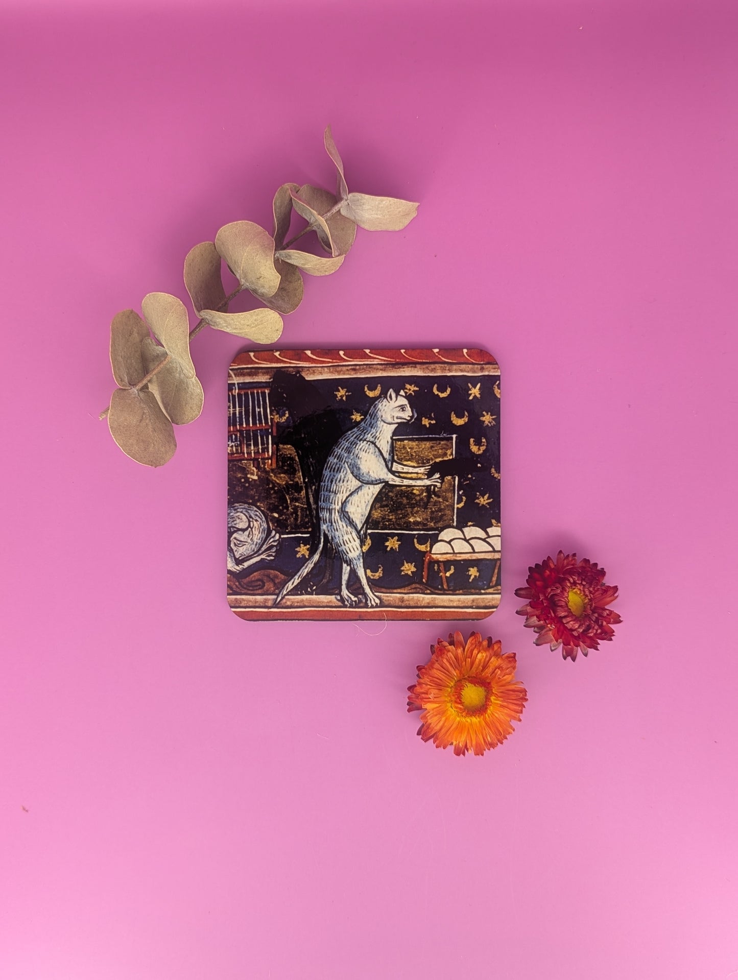 'Medieval Cats' Coasters