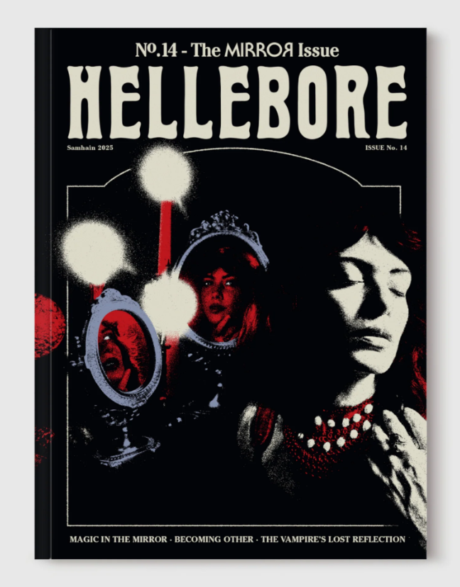 hellebore zine issue 14 the mirror issue