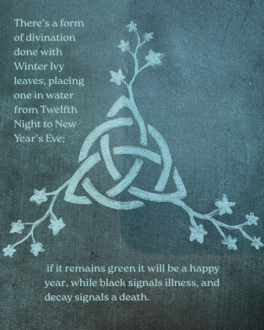 Folklore Friday: Mistletoe and Ivy Lore