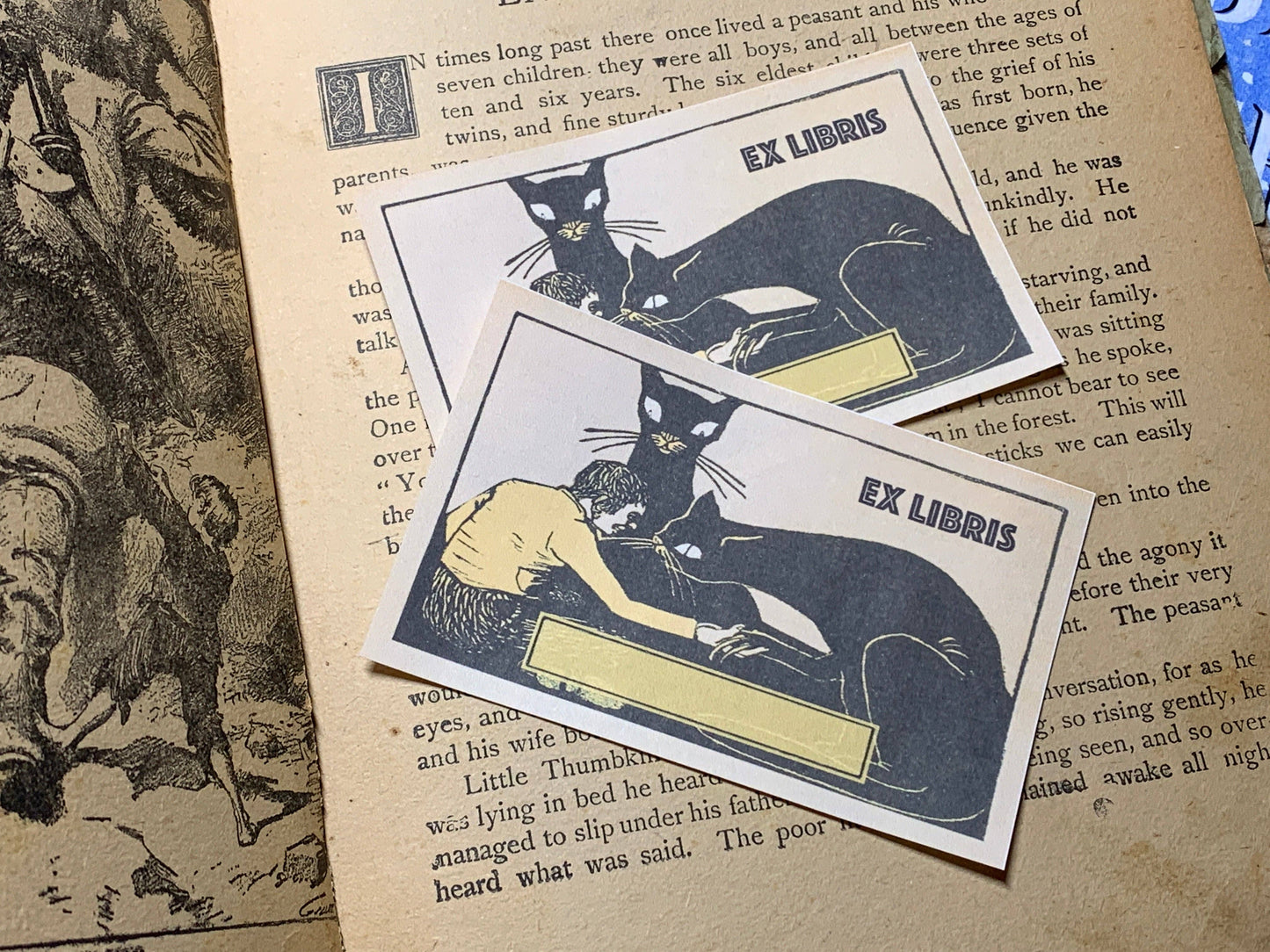 Cat Pact Bookplate