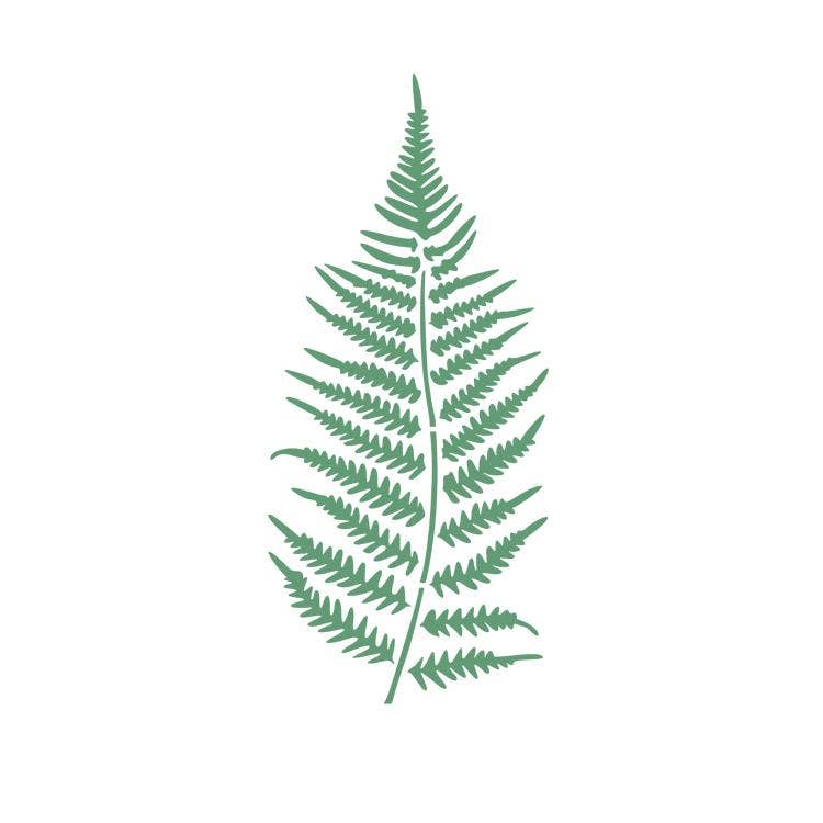 Fern Leaf Botanical Style Stencil