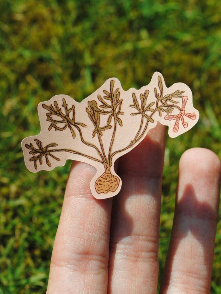 "Dried Flowers" Sticker Sheet