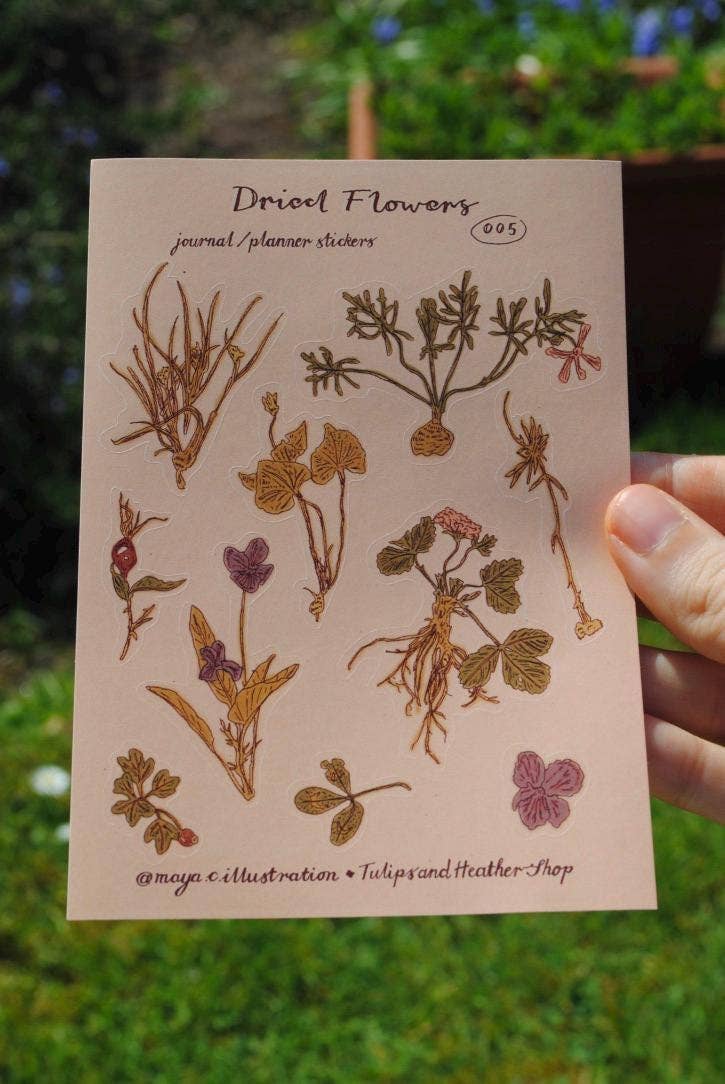 "Dried Flowers" Sticker Sheet