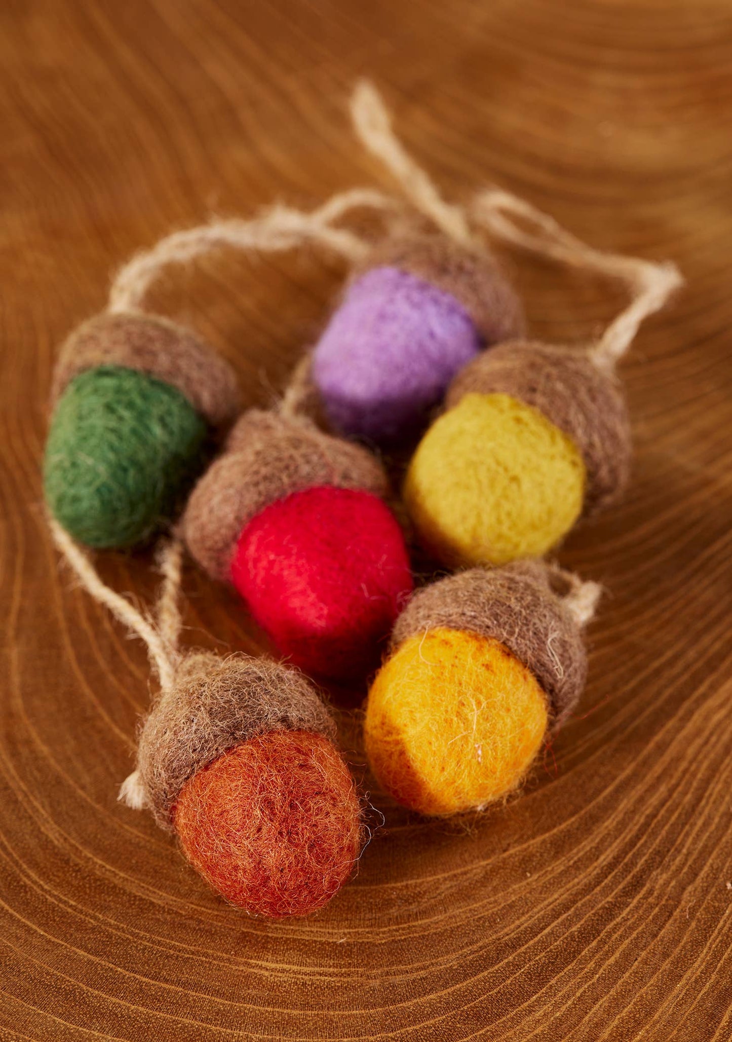 Set of 6 Felt Rainbow Acorn Decorations