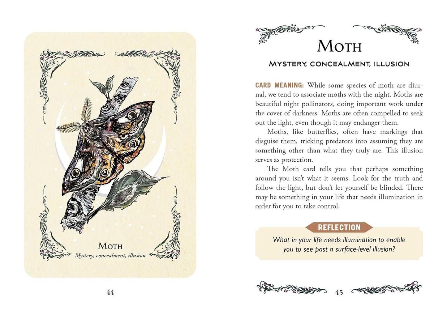 The Green Witch's Oracle Deck : Embrace the Wisdom and Insight of Natural Magic by Arin Murphy-Hiscock
