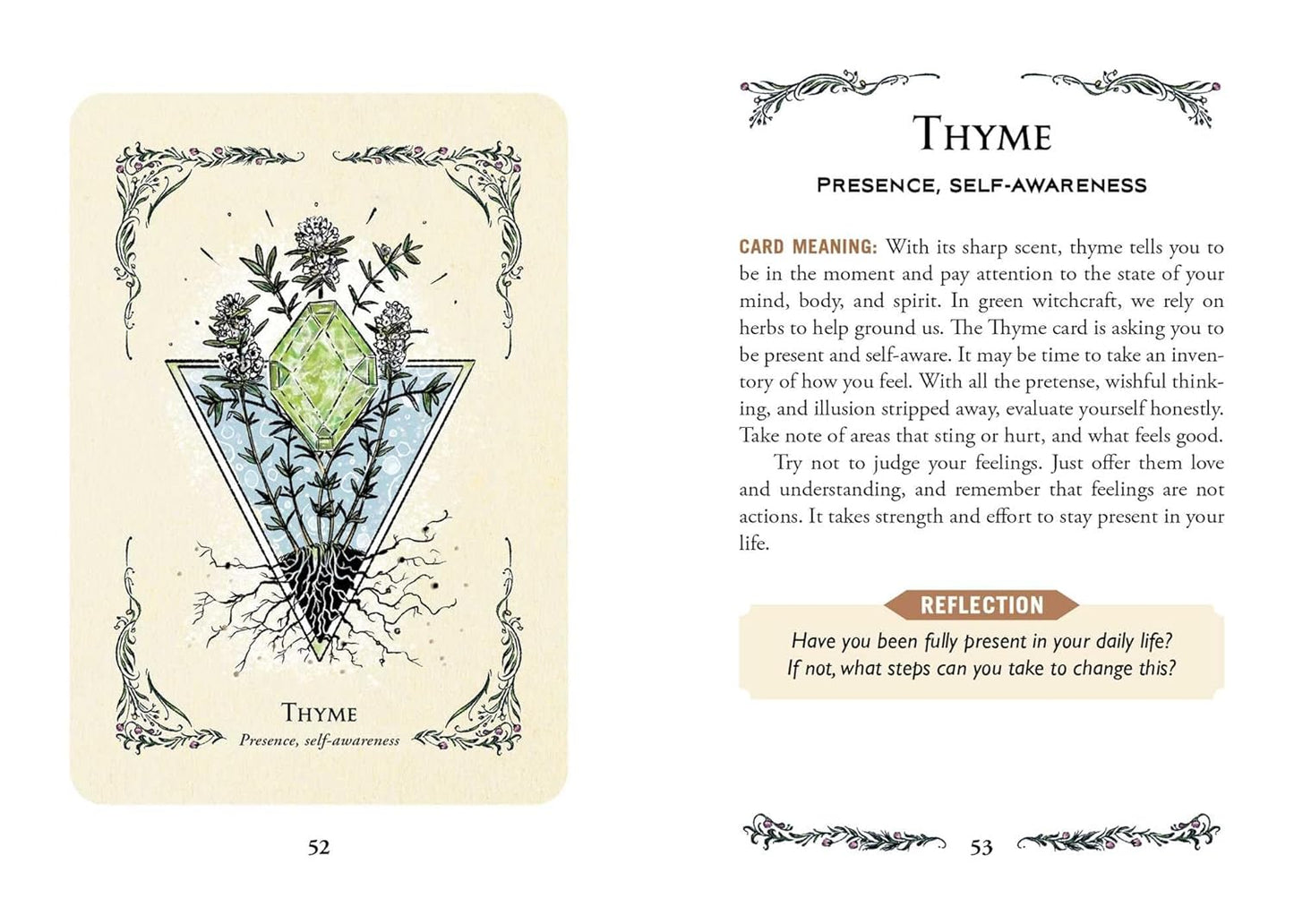 The Green Witch's Oracle Deck : Embrace the Wisdom and Insight of Natural Magic by Arin Murphy-Hiscock