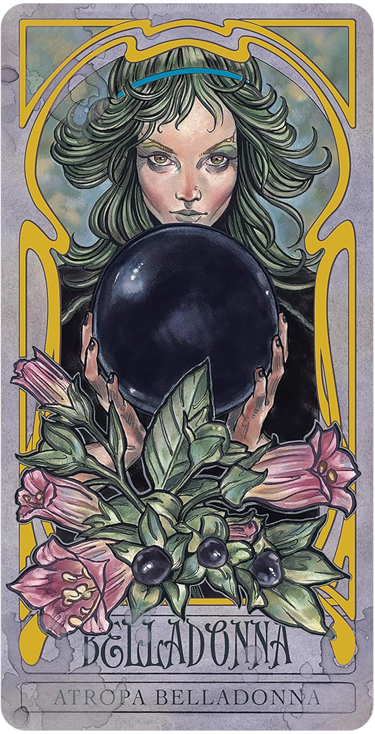 Lady Stirlings Wicked Garden Oracle by Hope & Matt Hughes