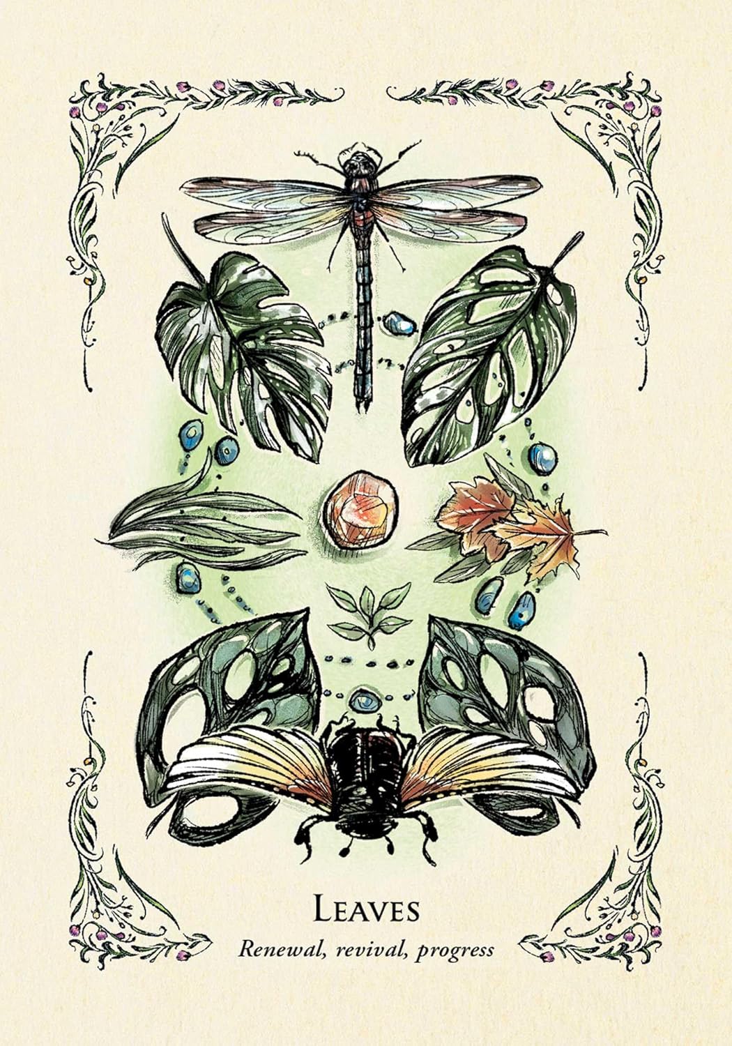 The Green Witch's Oracle Deck : Embrace the Wisdom and Insight of Natural Magic by Arin Murphy-Hiscock