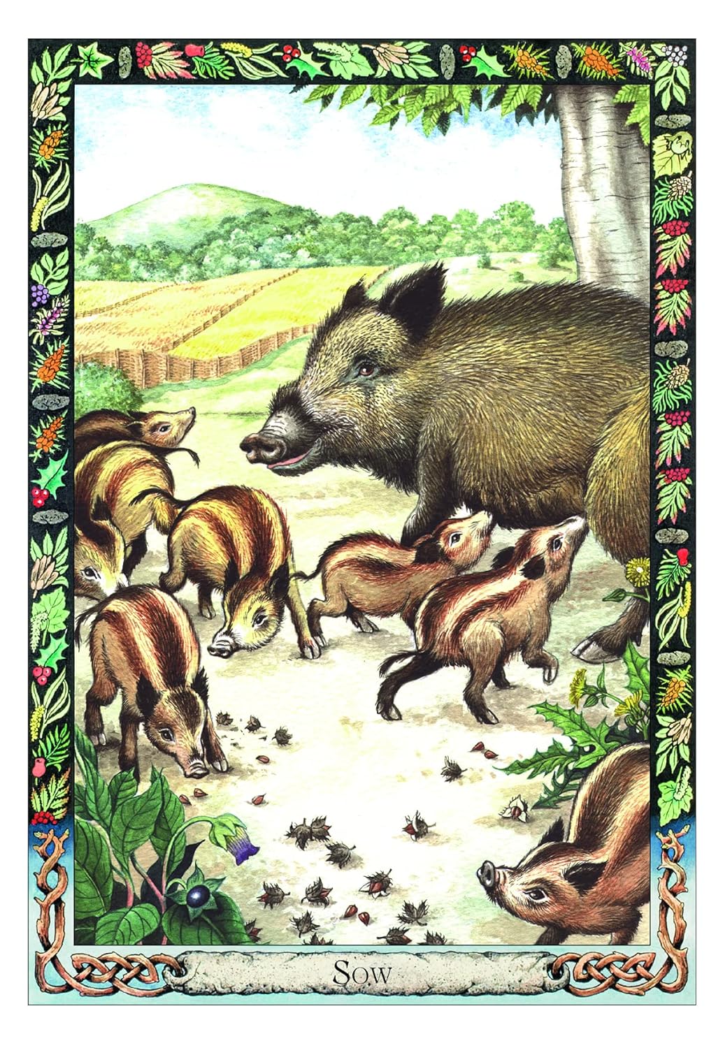 The Druid Animal Deck by Philip & Stephanie Carr-Gomm