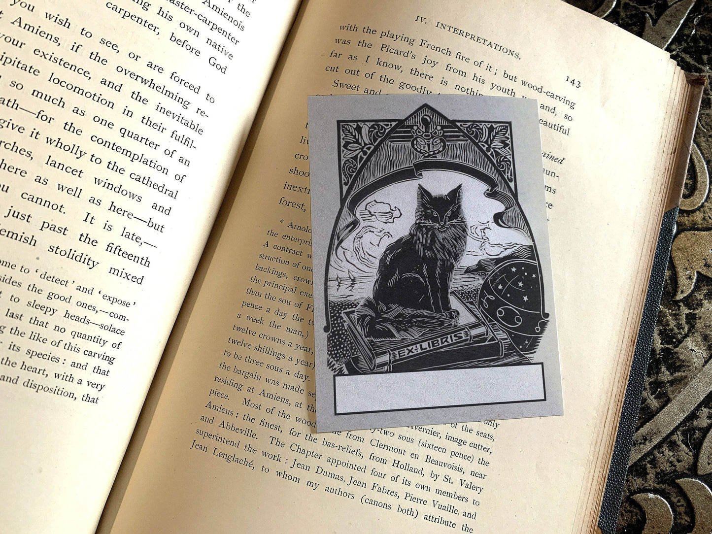 Mysterious Black Cat Bookplate
