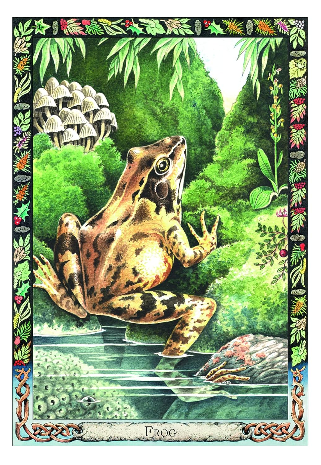 The Druid Animal Deck by Philip & Stephanie Carr-Gomm