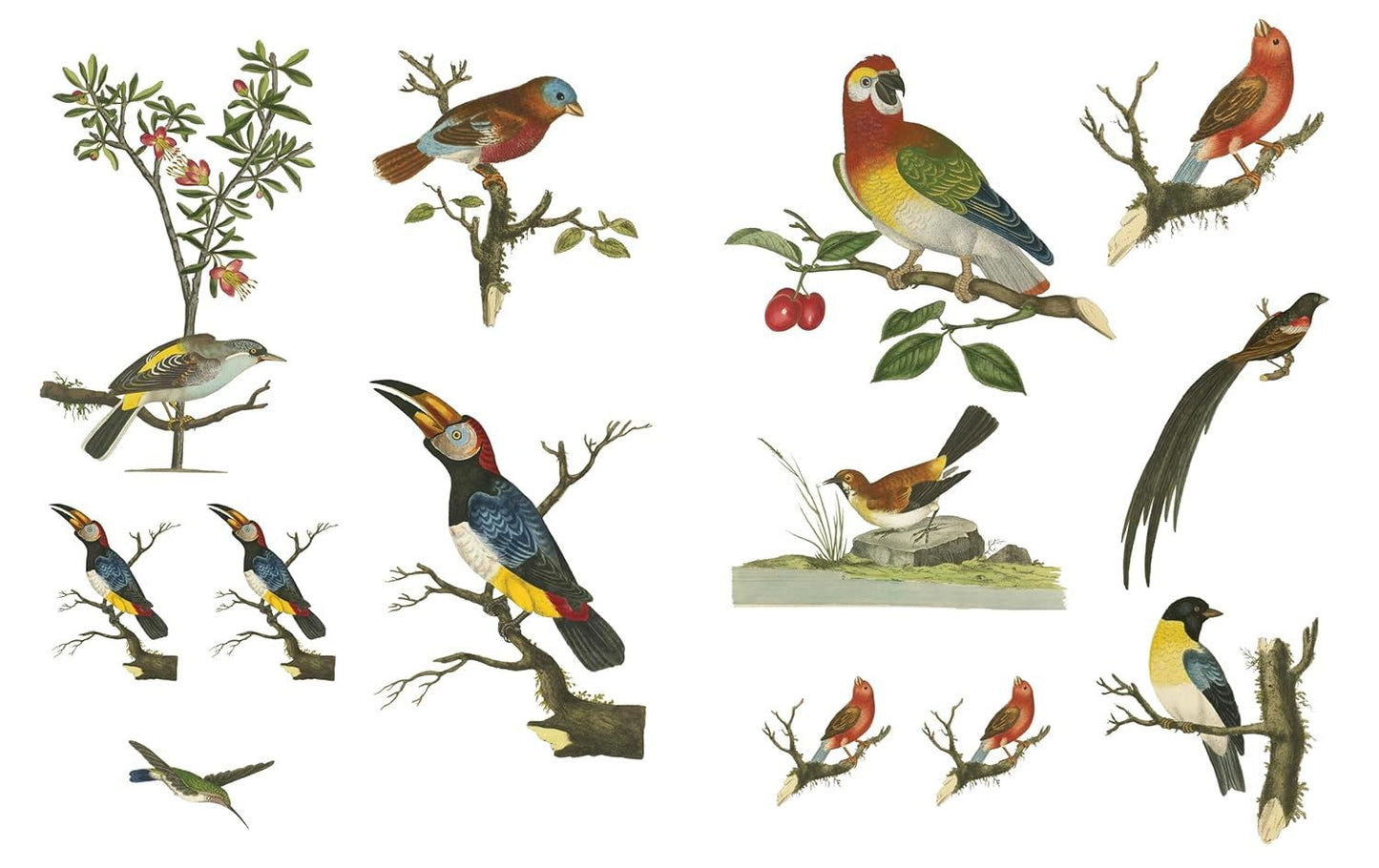 Collage the Botanic World  by Aurum Press Quanto