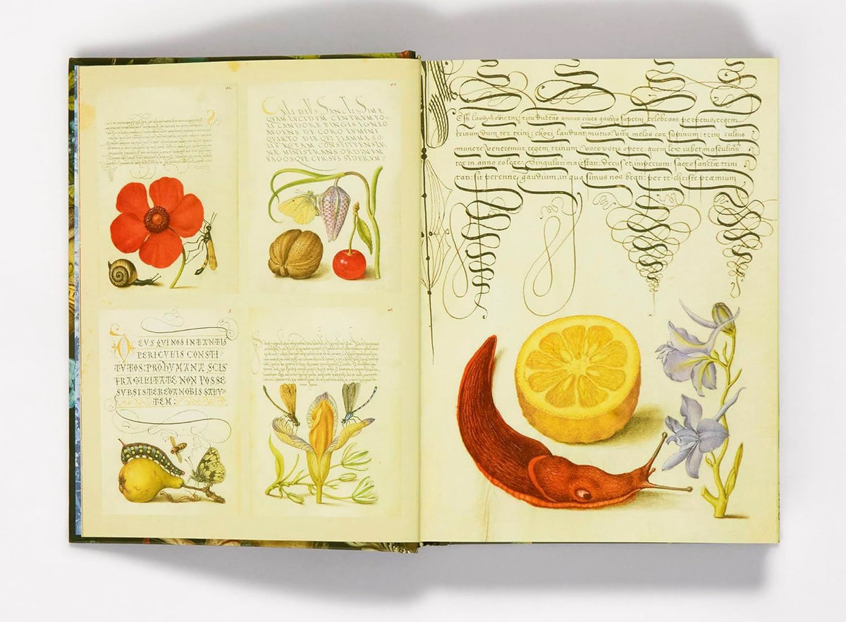 Esoterica Sticker Book: From Astrology to Tarot