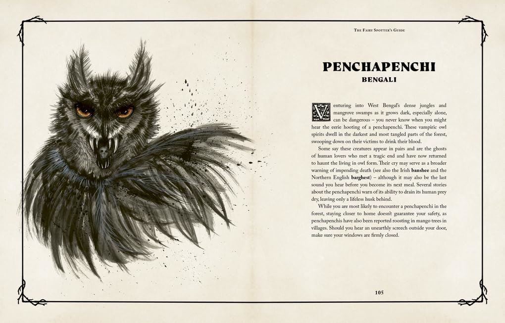 Fairy Spotters Guide by Elizabeth Dearnley