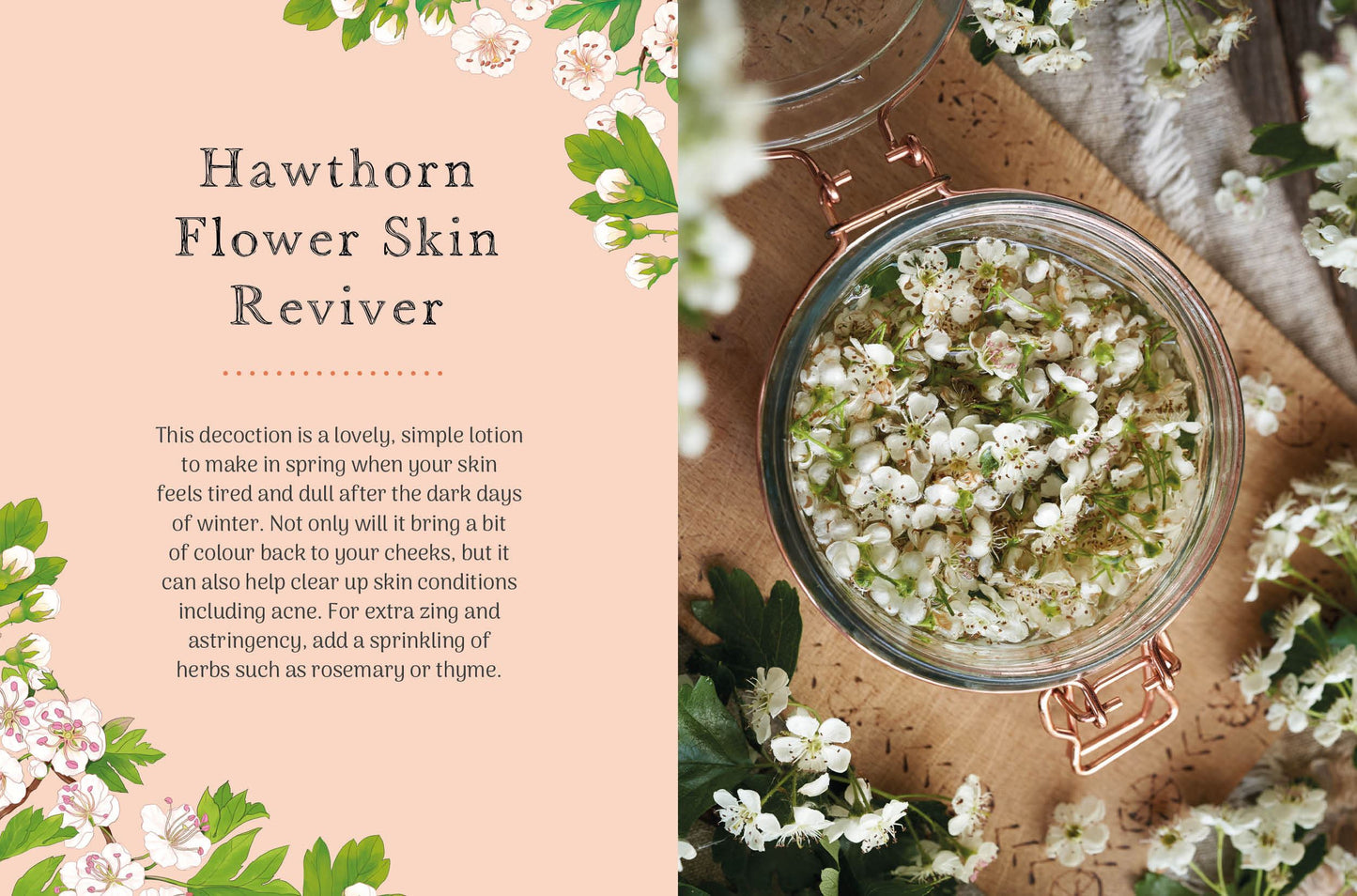 Little Wild Library: Hawthorn by Clare Gogerty