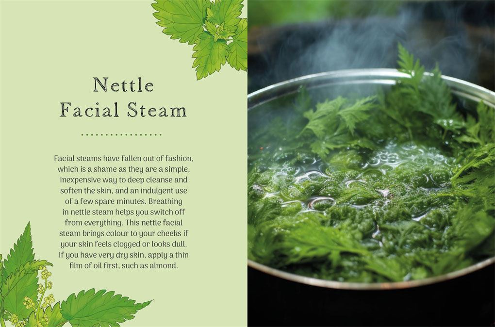Little Wild Library: Nettle by Clare Gogerty