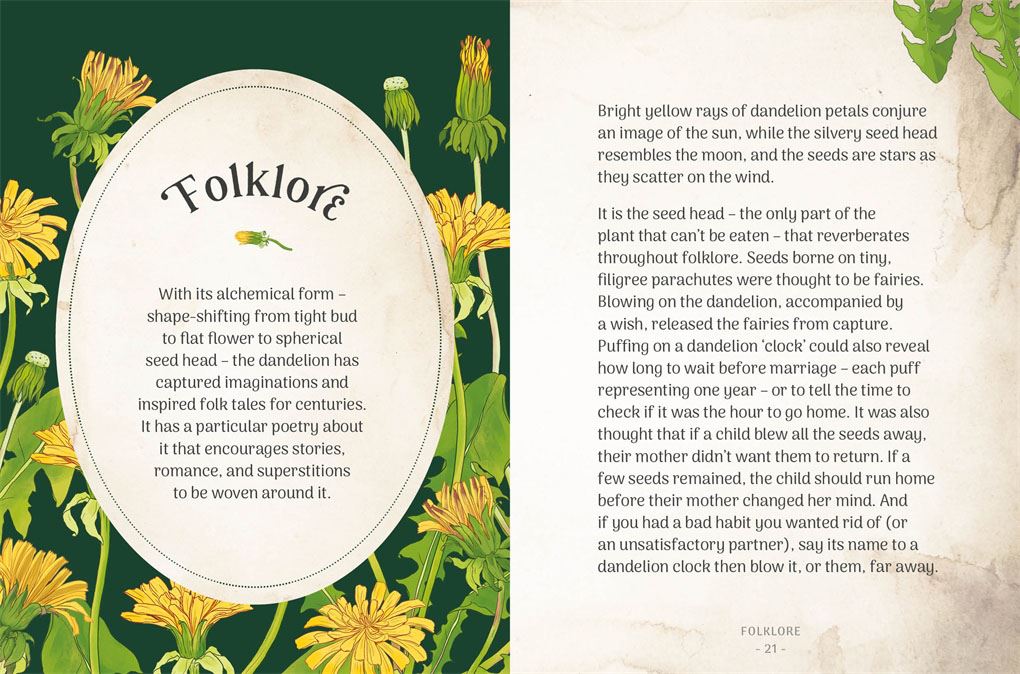 Little Wild Library: Dandelion by Clare Gogerty