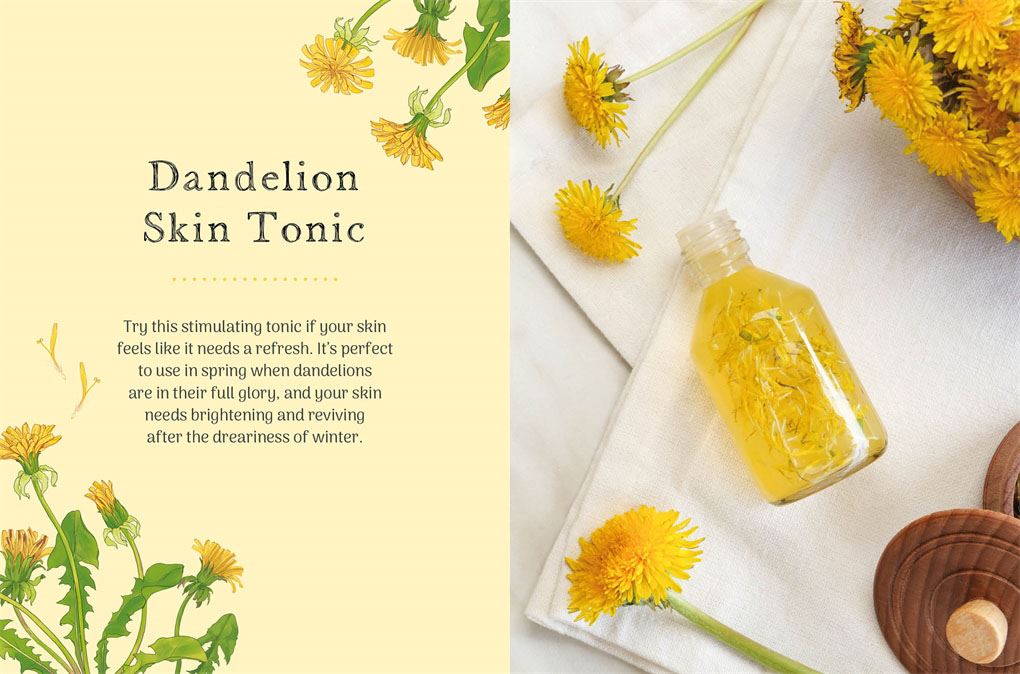 Little Wild Library: Dandelion by Clare Gogerty