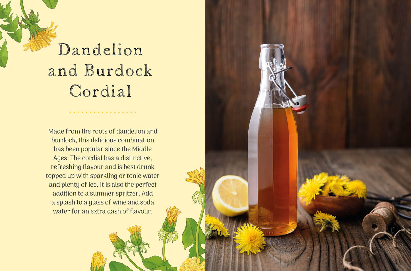 Little Wild Library: Dandelion by Clare Gogerty