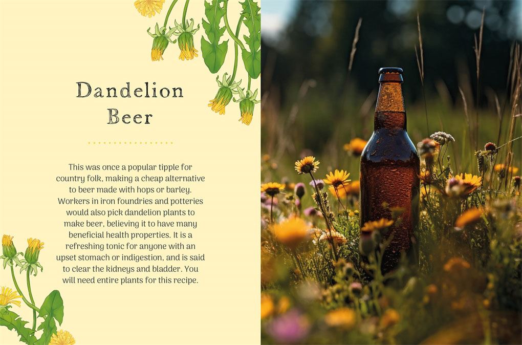 Little Wild Library: Dandelion by Clare Gogerty