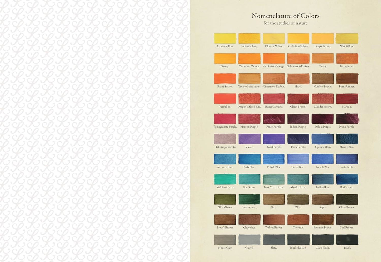 Collage Compendium by Roomytown