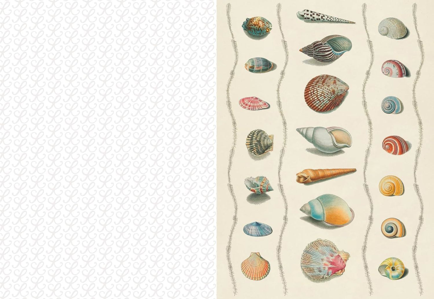 Collage Compendium by Roomytown