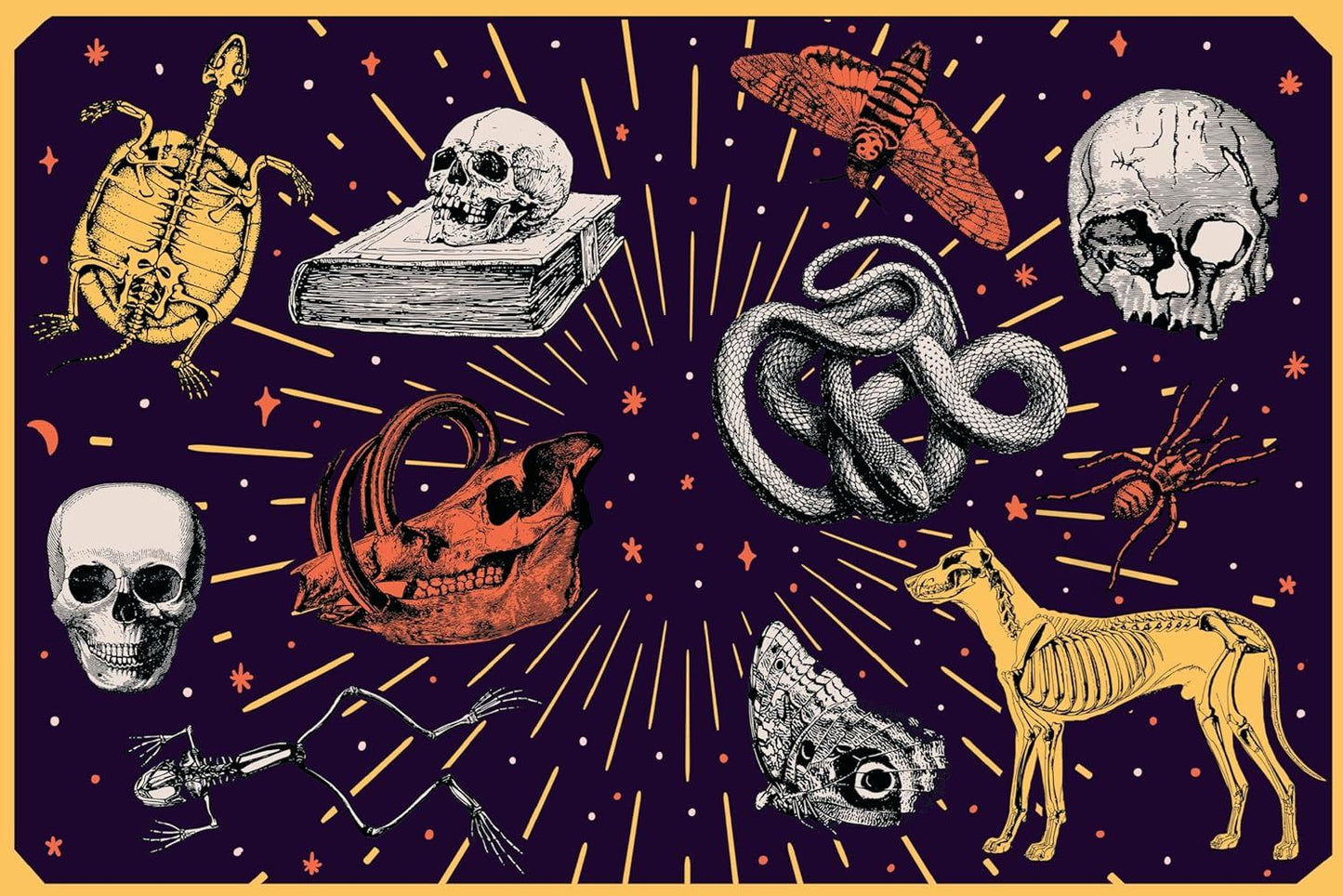 Stickertopium: Gorgeous Gothic by Design Eye