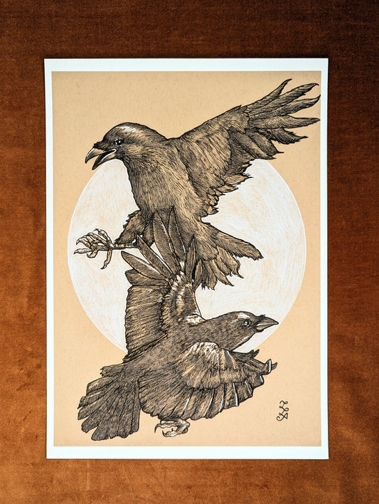 “Huginn and Muninn” Print by Laura Jeacock