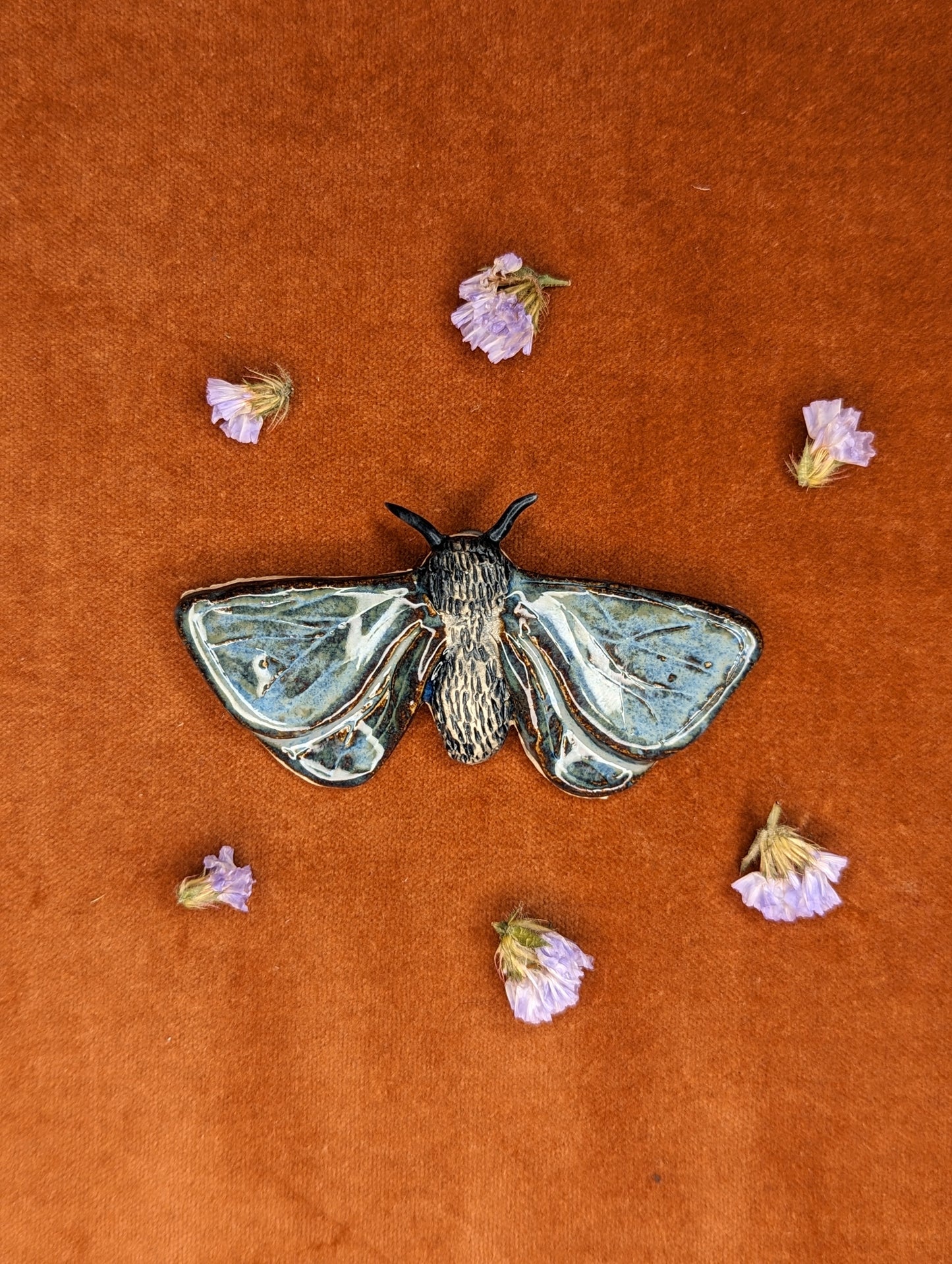 Small Wall Hanging Moths by Genuine Quirk