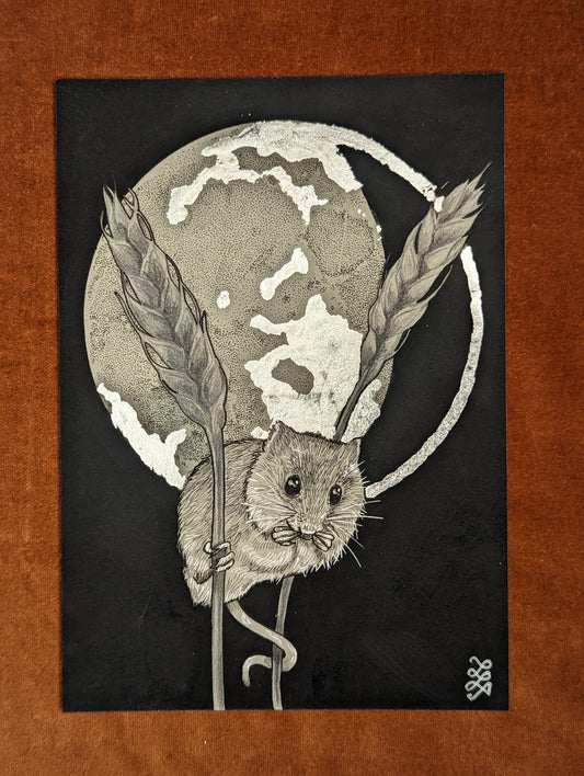 Lunar Mouse Print by Laura Jeacock