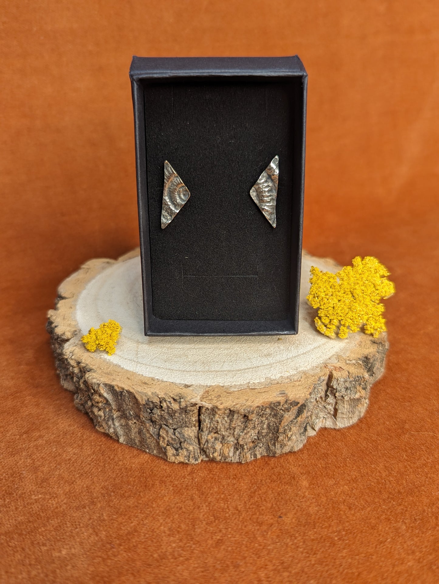 Ammonite Stud Earrings (Tri) by Dust Designs