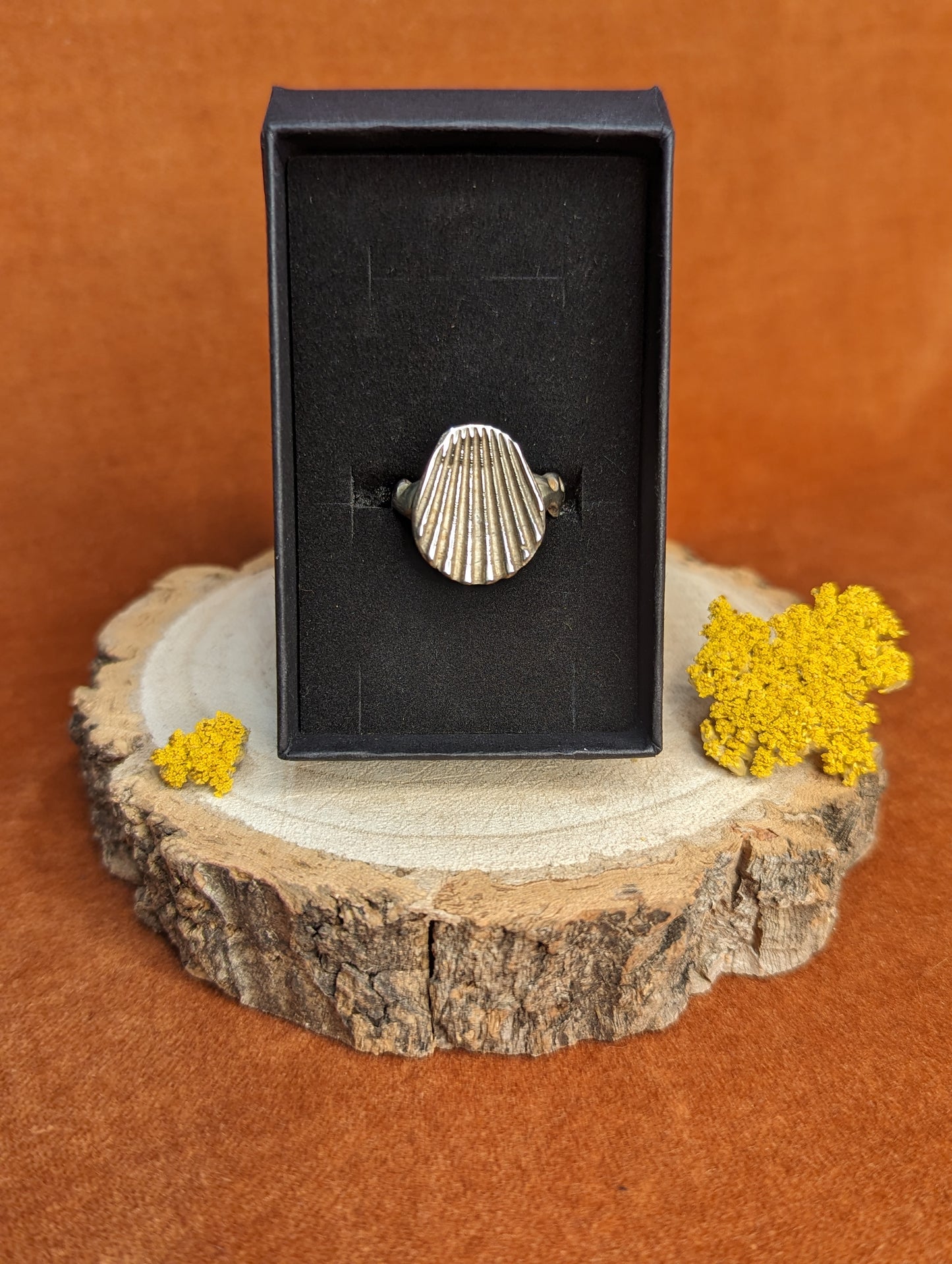 Silver Seashell Ring by Dust Designs