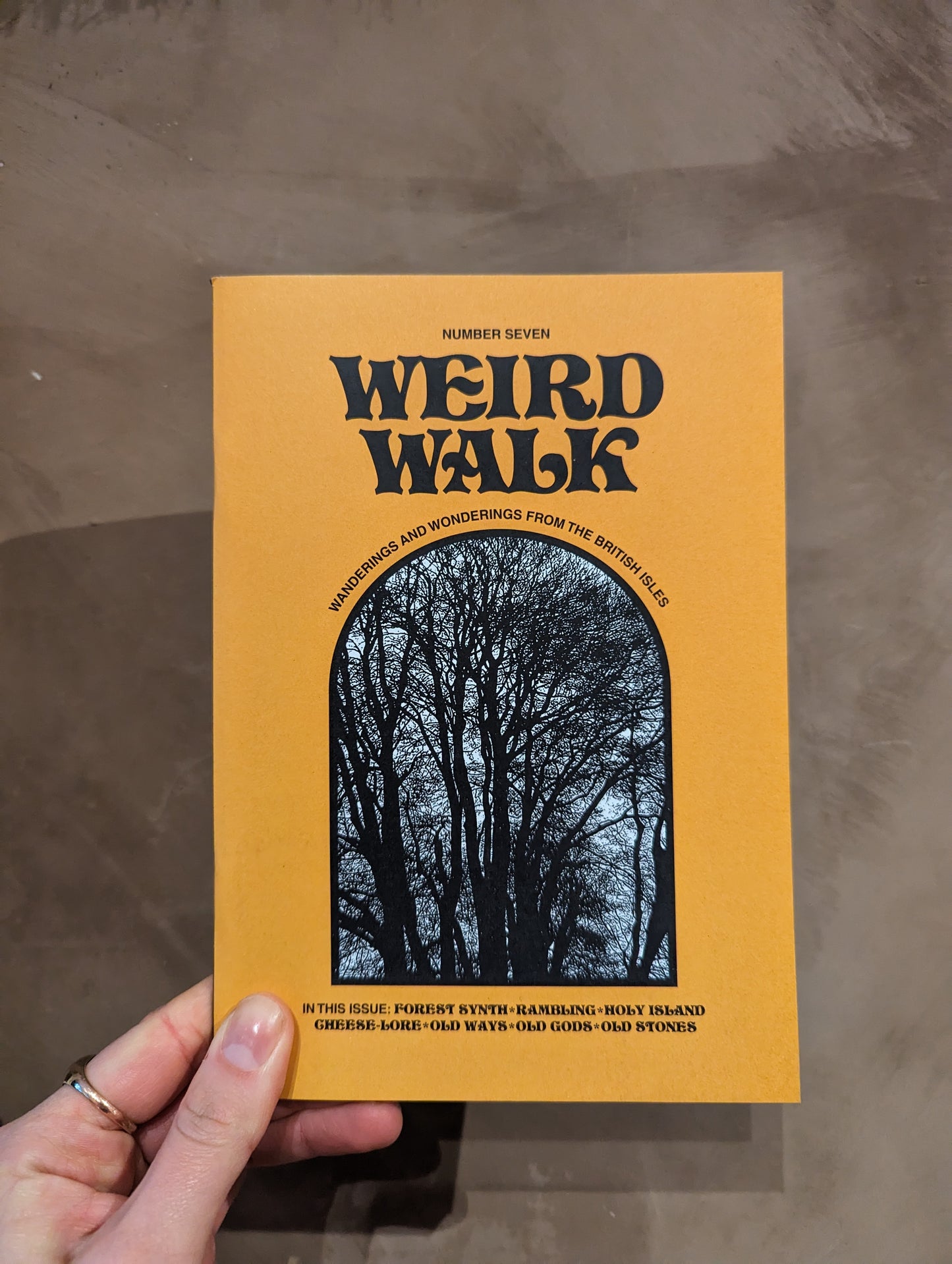 Weird Walk Zine