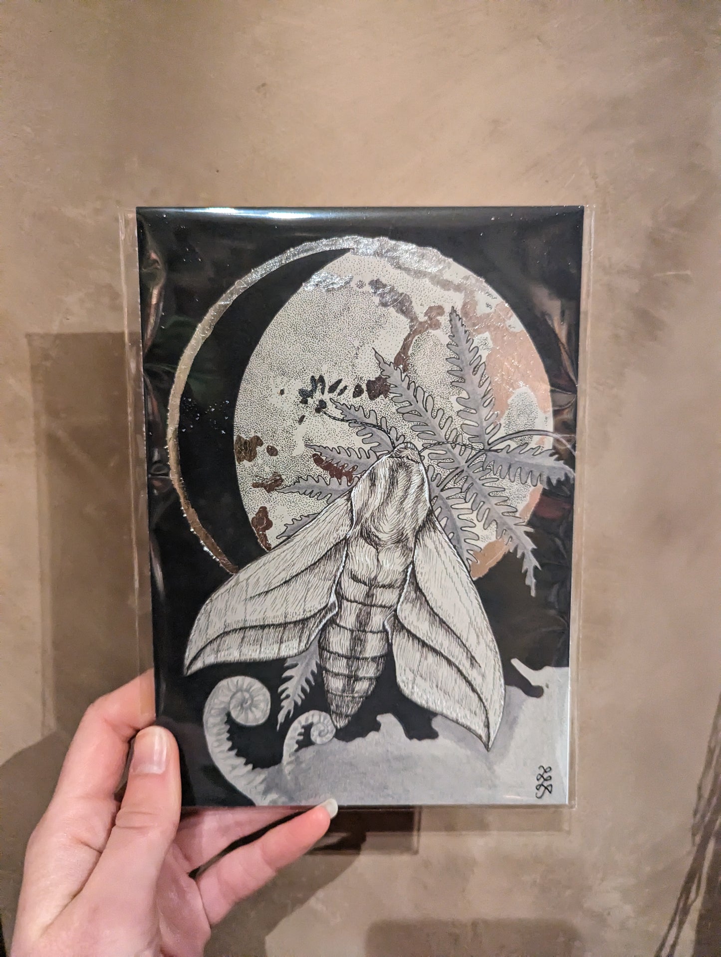 "Lunar Moth" Print by Laura Jeacock