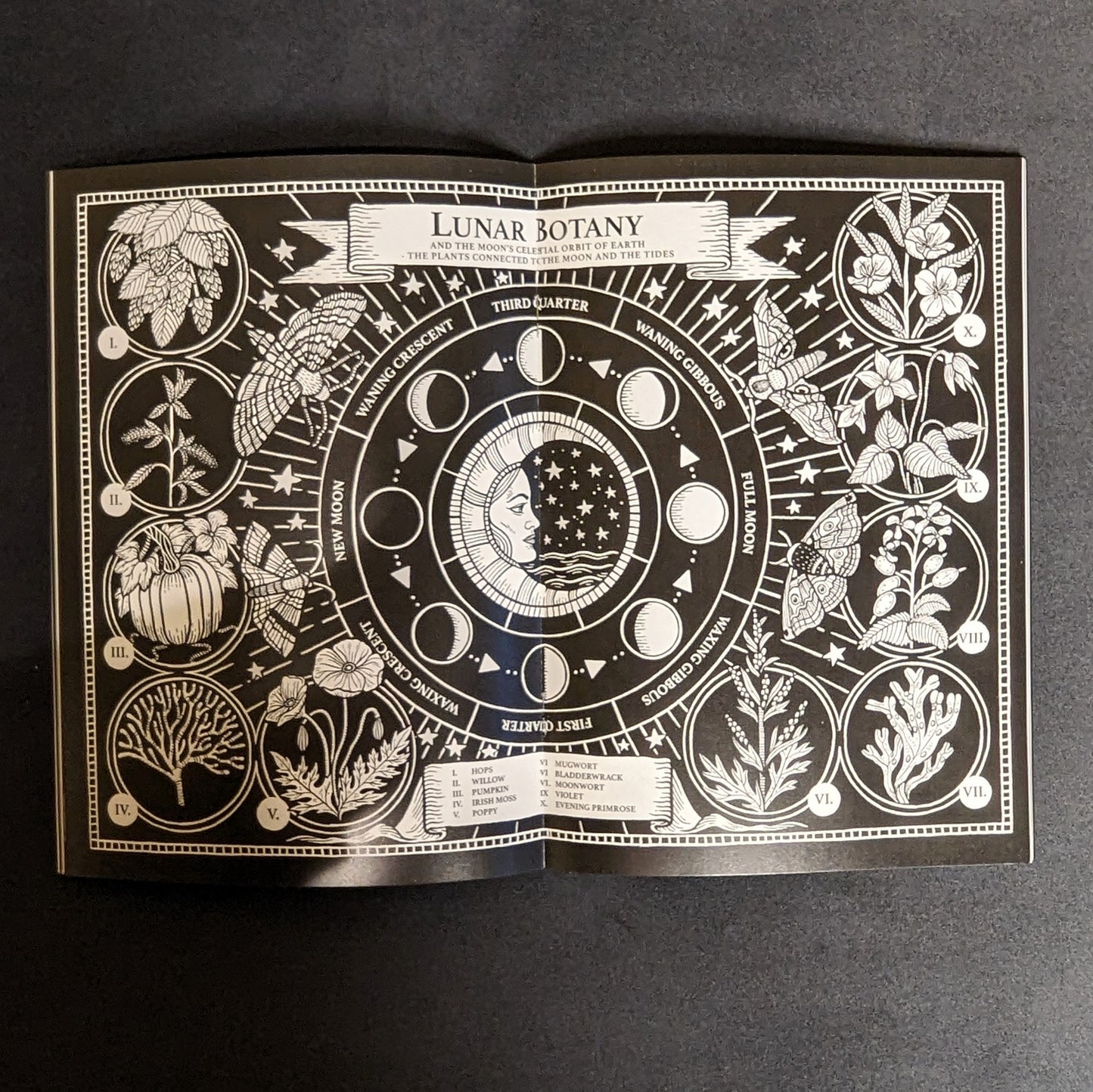 Shuck Zine