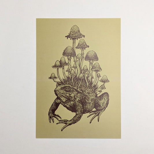 "Toad" by Hester Aspland - 220mm x 255mm Print