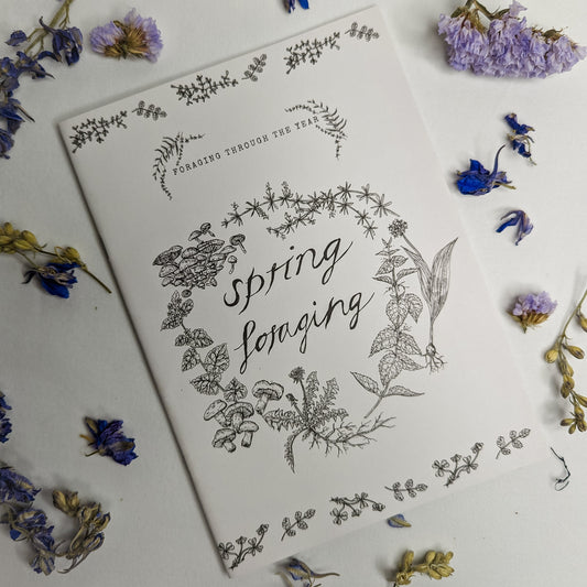 Spring Foraging Zine by Johanna Koen