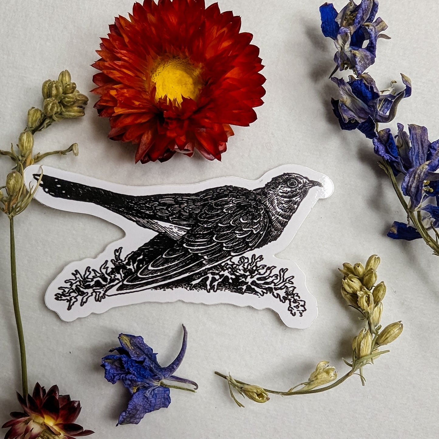 Stickers by Hester Aspland