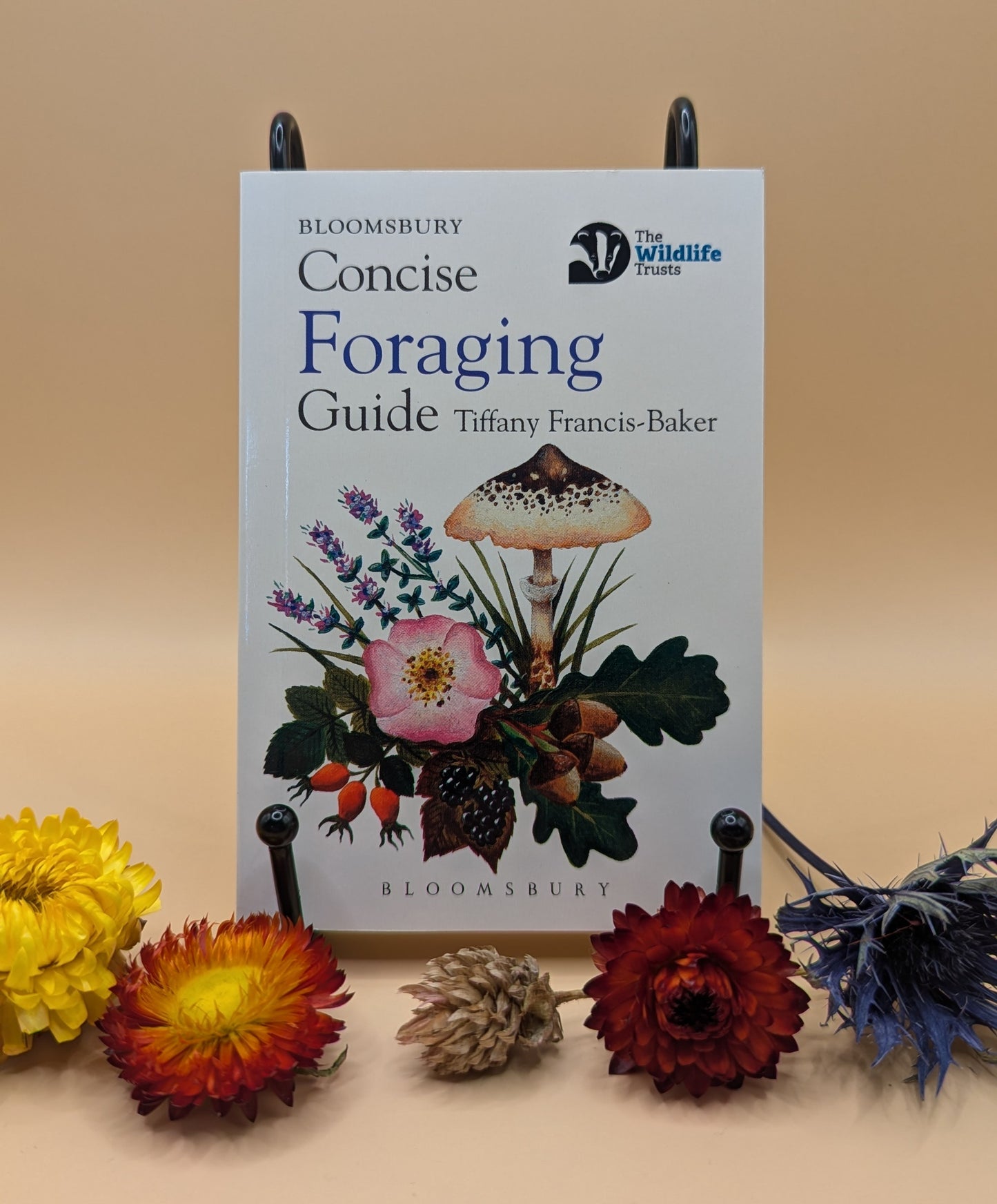 Concise Foraging Guide
