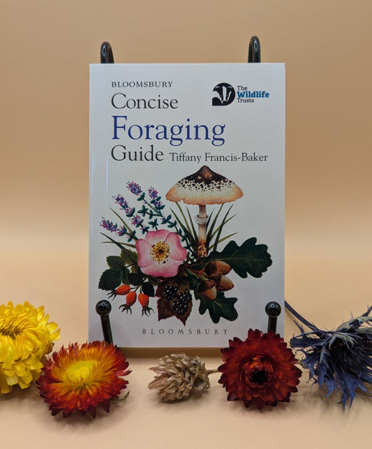 Concise Foraging Guide