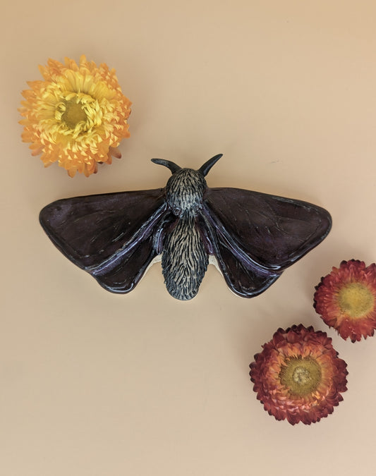 Large Moth Wall Piece by Genuine Quirk