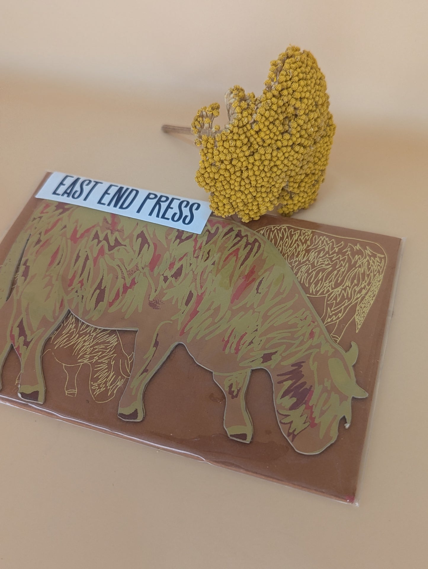 'Highland Cow' Greeting Card by East End Press