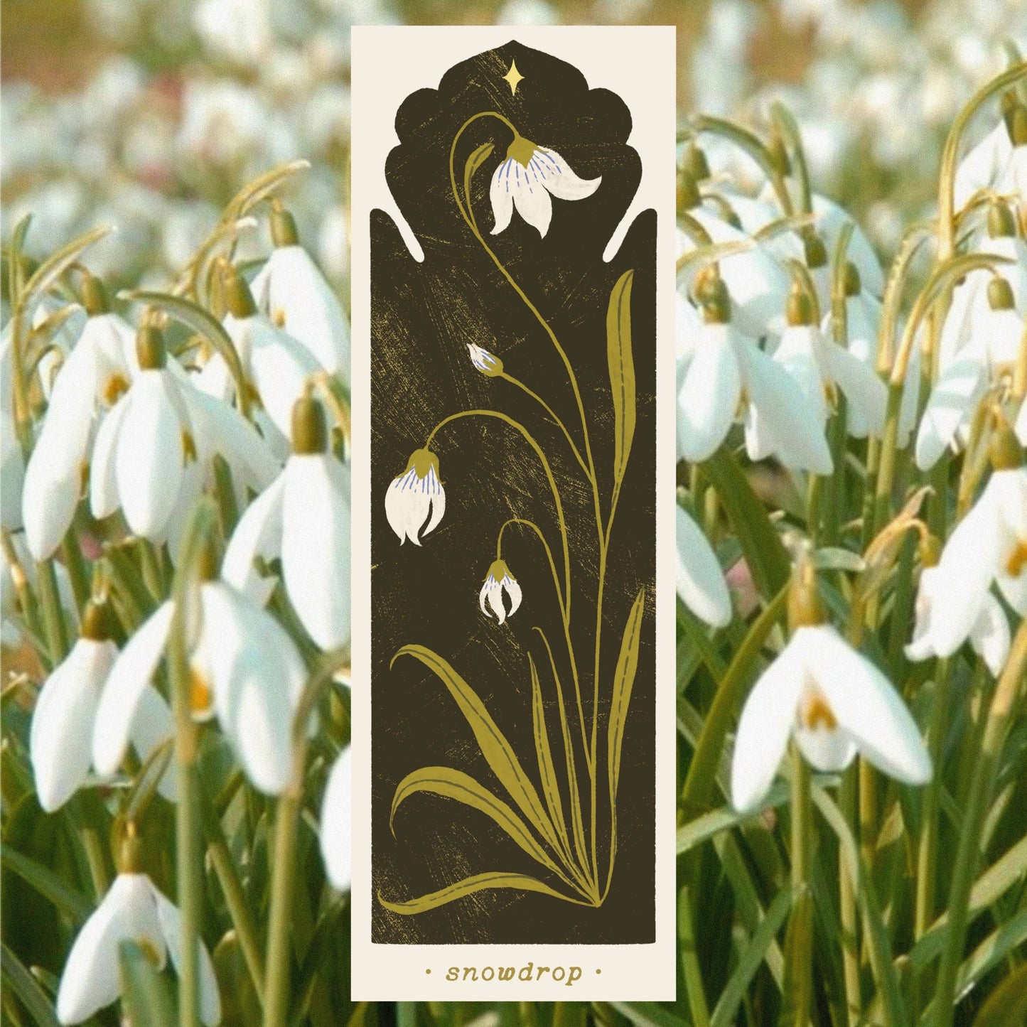 Botanical Snowdrop Bookmark by Lione & Sheikh
